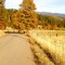 Chandler Road in Fall