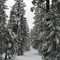 Heading up to Mt. Huff