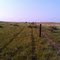 June 4, 2011 - "Checking Fence"