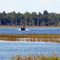 Airboat on Gentry Lake, FL