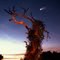 Comet Hale-Bopp Lake Gentry