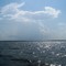 Sapelo Sound