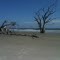 St catherines island