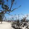 Blackbeard Beach