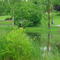 DSC08185  The Pond 6/10/06 - S view