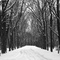 Road to Perdition