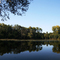 McDowell Grove Forest Preserve, Naperville
