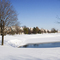 White Eagle Club, Naperville