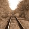 Fall Rails