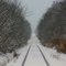 Illinois Railnet Winter