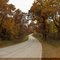 Road from the lodge