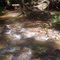 Stream