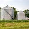 Grain storage tanks