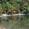 Cregs Pond