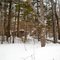 The Wildlands, Hothole Pond Trail, Orland, Maine