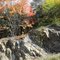 Rock and trees