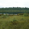 Cowslip Lake