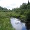 Duck Creek