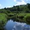 Duck Creek