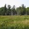 Henderson Creek Wetland