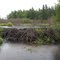 Sucker Creek Beaver Dam