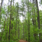 Trails around Lake Gaston, NC