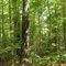 home tract