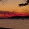Lake Gaston Ducks