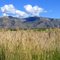 Sacramento Mtns Backdrop Alamogordo, NM from Hwy 70