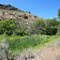 Antelope Creek...