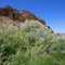 Antelope Creek...