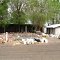 Richardson's Rock Ranch