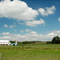Summer on the Farm
