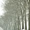 Vintage Drive
