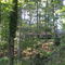 House in the Woods, McLean