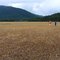 Near the Boy Scout Camp