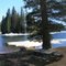 Spring Thaw, Lake Alpine East Shore