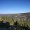 Ebbetts Pass