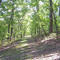 Elks Brox Park