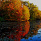 Reflections