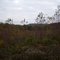 Beech Hill State Forest