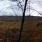 Steam Mill State Forest