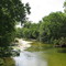 Salado Creek