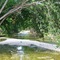 Salado Creek (Pace Park)