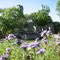 Spring in Salado, tx.