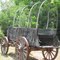 Uncovered Wagon