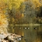 Chain Lake, Fall 1988.