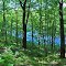 Horseshoe Lake/Ice-Age Trail