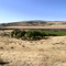 Carter Family Homestead, Hooper WA