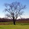  2012 11-18 Kentucky - Rte 127 southbound